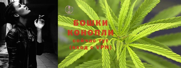 прущие крисы Каменногорск