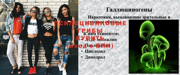 jwh Каменка